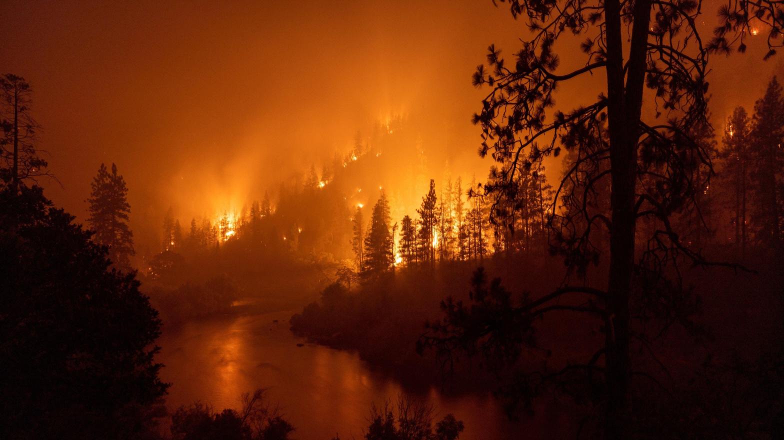 The McKinney Fire has burned over 52,000 acres of northern California.  (Image: David McNew, Getty Images)