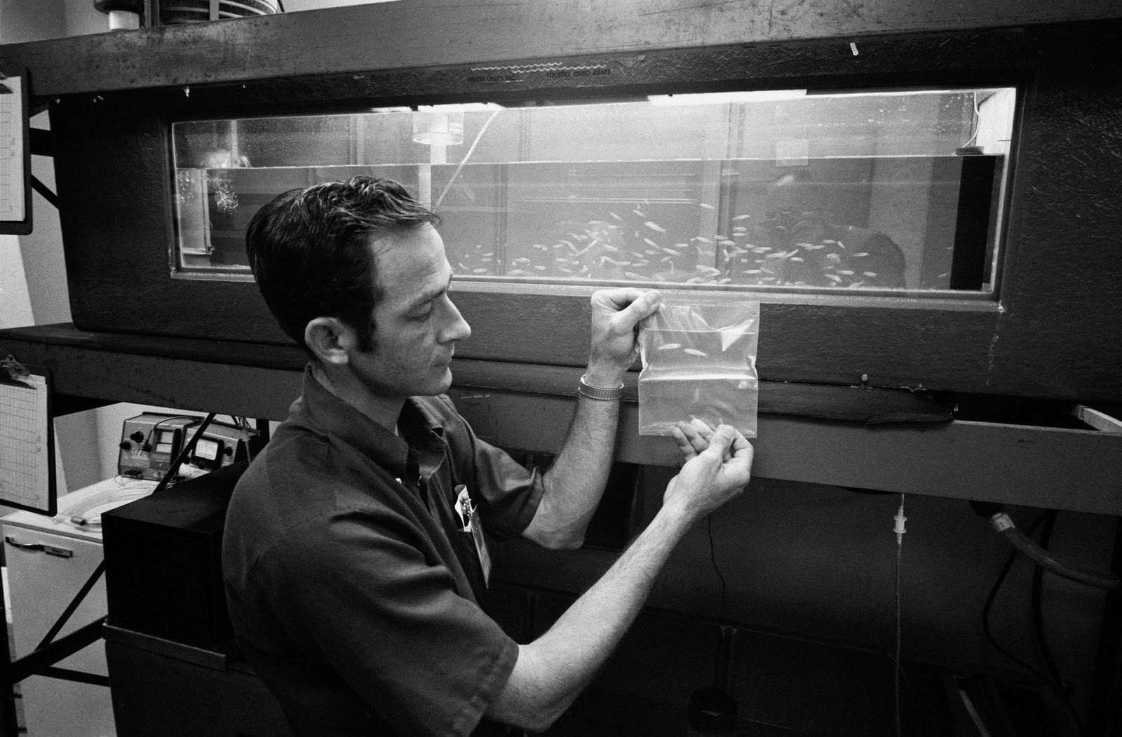 Scientist John Boyd holding a bag of two mummichog minnows who became the first fish in space as part of the Skylab 3 mission, July to September 1973. (Photo: NASA)