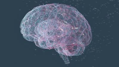 Can Brain Fingerprinting Help Predict Future Mental Health Issues?