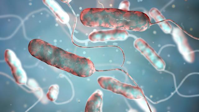 Waterborne Legionnaires’ Disease Rears Its Head in California