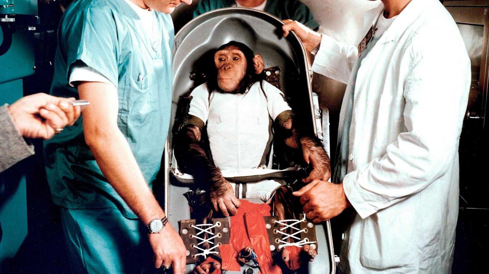 Ham the juvenile chimp with trainers at Cape Canaveral, Florida, on January 31, 1961. (Photo: NASA)