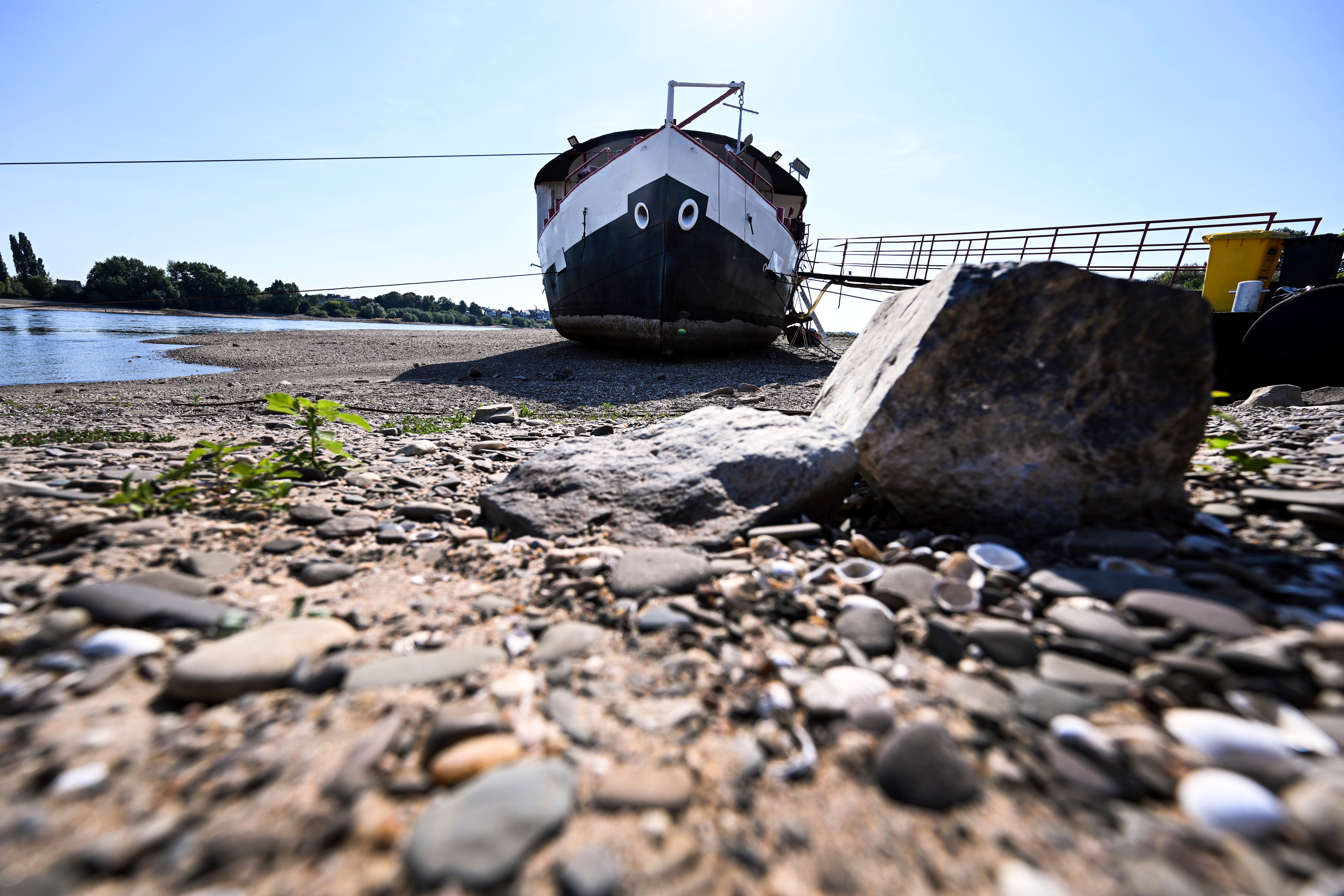 A ship lies dry between the groynes on the Rhine in August 2022.  (Photo: Federico Gambarini/picture-alliance/dpa, AP)