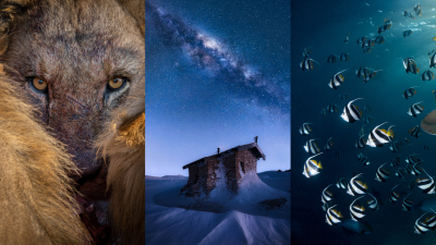 9 Shots From the Nature Photographer of the Year Comp That’ll Leave You in Awe