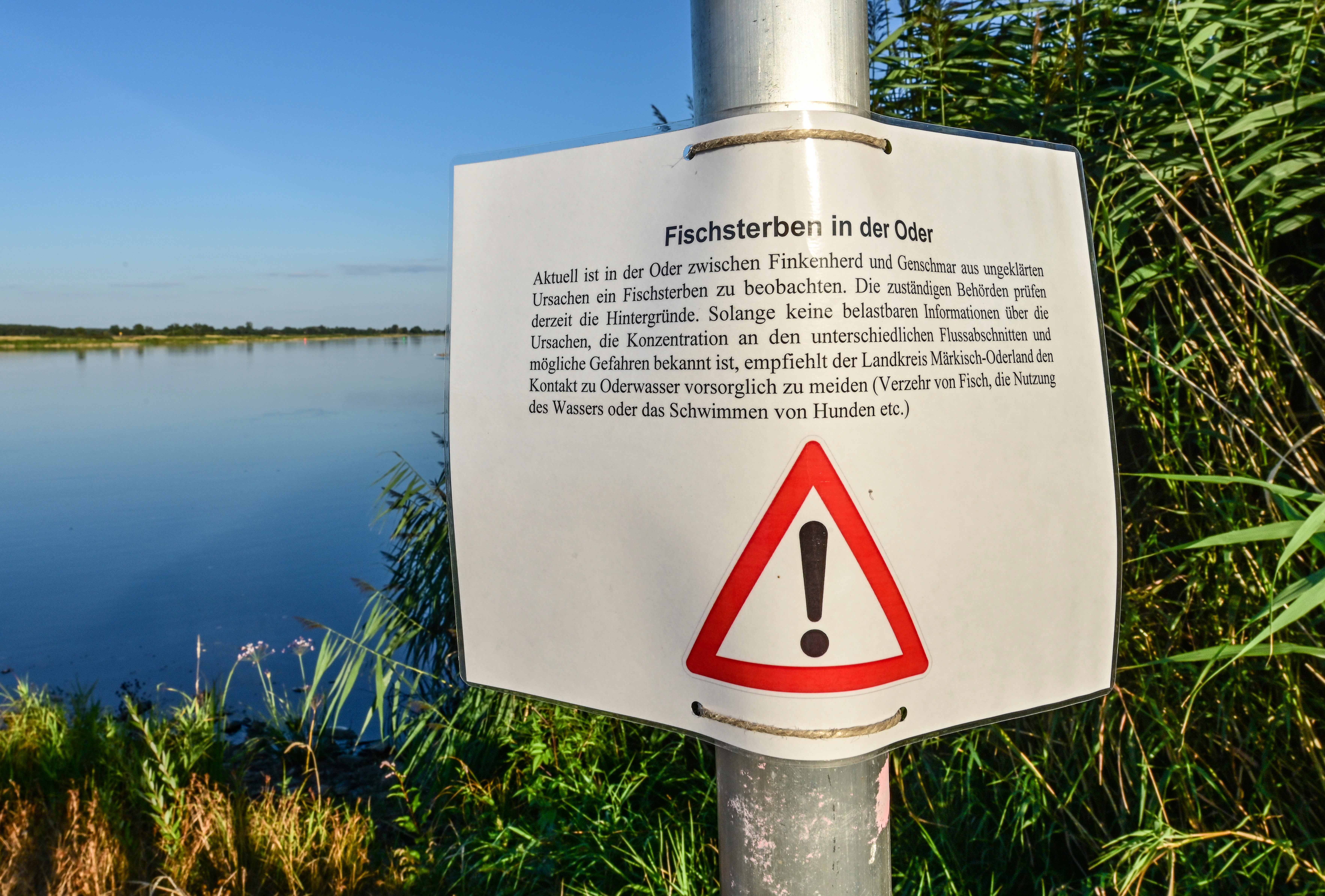 ‘Unknown, Highly Toxic Substance’ Seems to Be Killing Tons of Fish in a European River