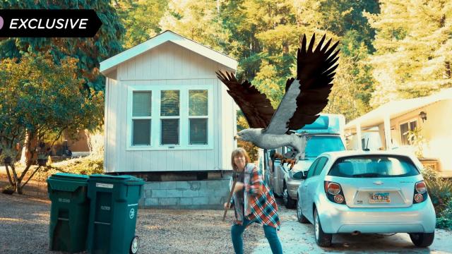 Birdemic 3 Teases Climate-Change Horrors and Feathery Mayhem