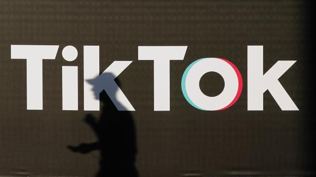 TikTok Aims to Squash Paid Political Influencers, Launches ‘Elections Centre’