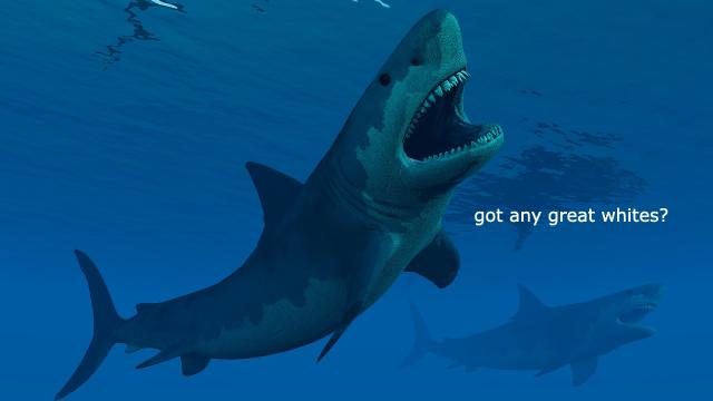 No Thanks: An Ancient Megalodon Could Swallow a Great White Shark Whole