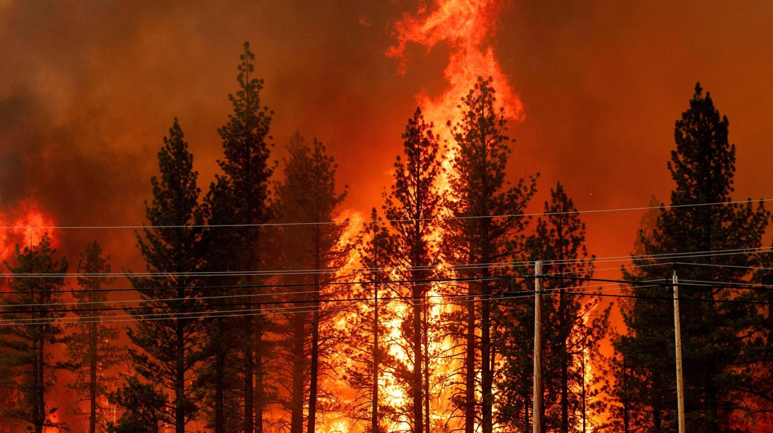 The Hog Fire burns outside of Susanville, California, in July 2020. (Photo: Josh Edelson/AFP, Getty Images)