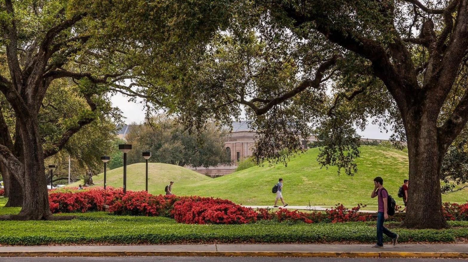 The ancient mounds on LSU campus. (Photo: LSU)