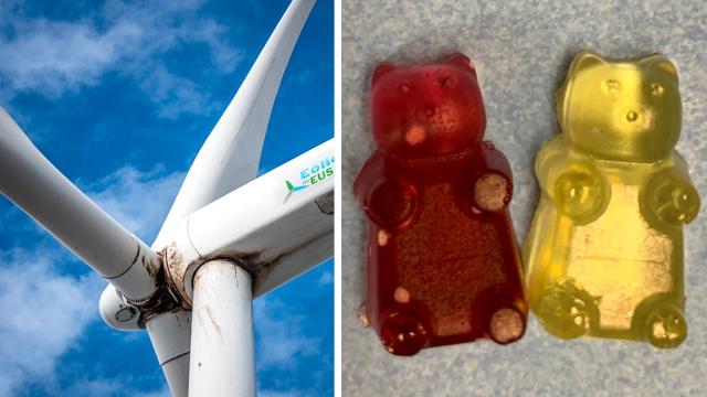 Would You Eat a Windmill? These Scientists Hope So.