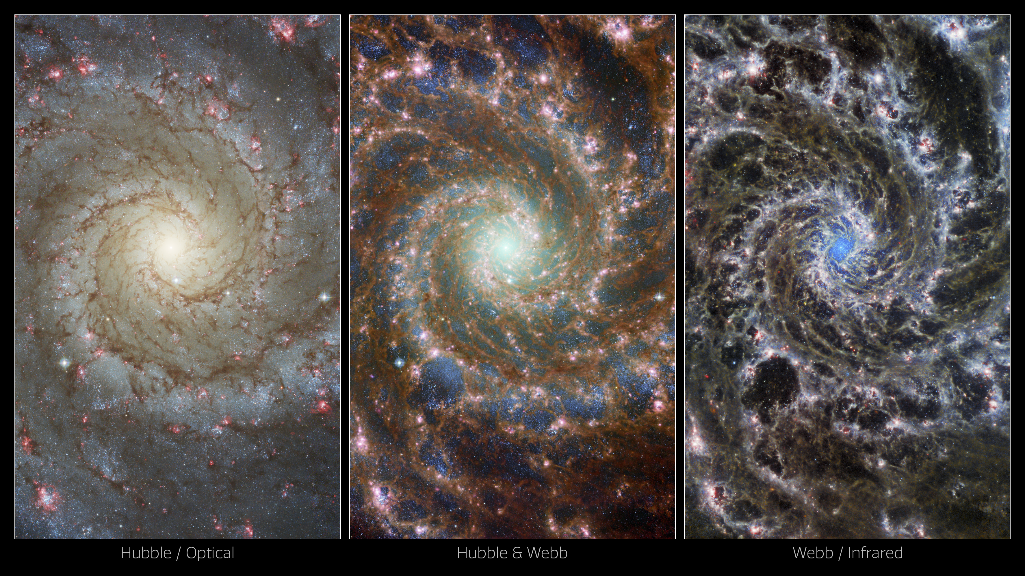Webb Telescope Captures the Bamboozling Beauty of the Phantom Galaxy