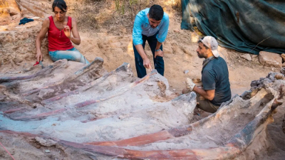 Bones Poking Out of Backyard May Be the Largest Dinosaur Ever Found in Europe