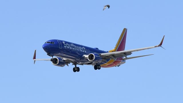 Southwest Pilot Threatens to Turn Plane Around if Unruly Passengers Keep AirDropping Nudes