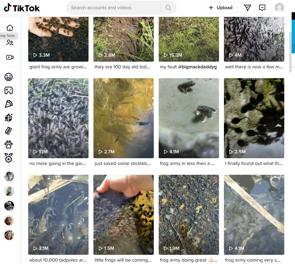 8 TikTok Trends That Are Terrible for the Environment