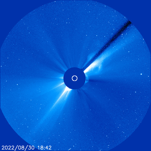 A large coronal mass ejection (CME) was recorded by the Solar and Heliospheric Observatory (SOHO) on August 30. (Gif: ESA/NASA SOHO)
