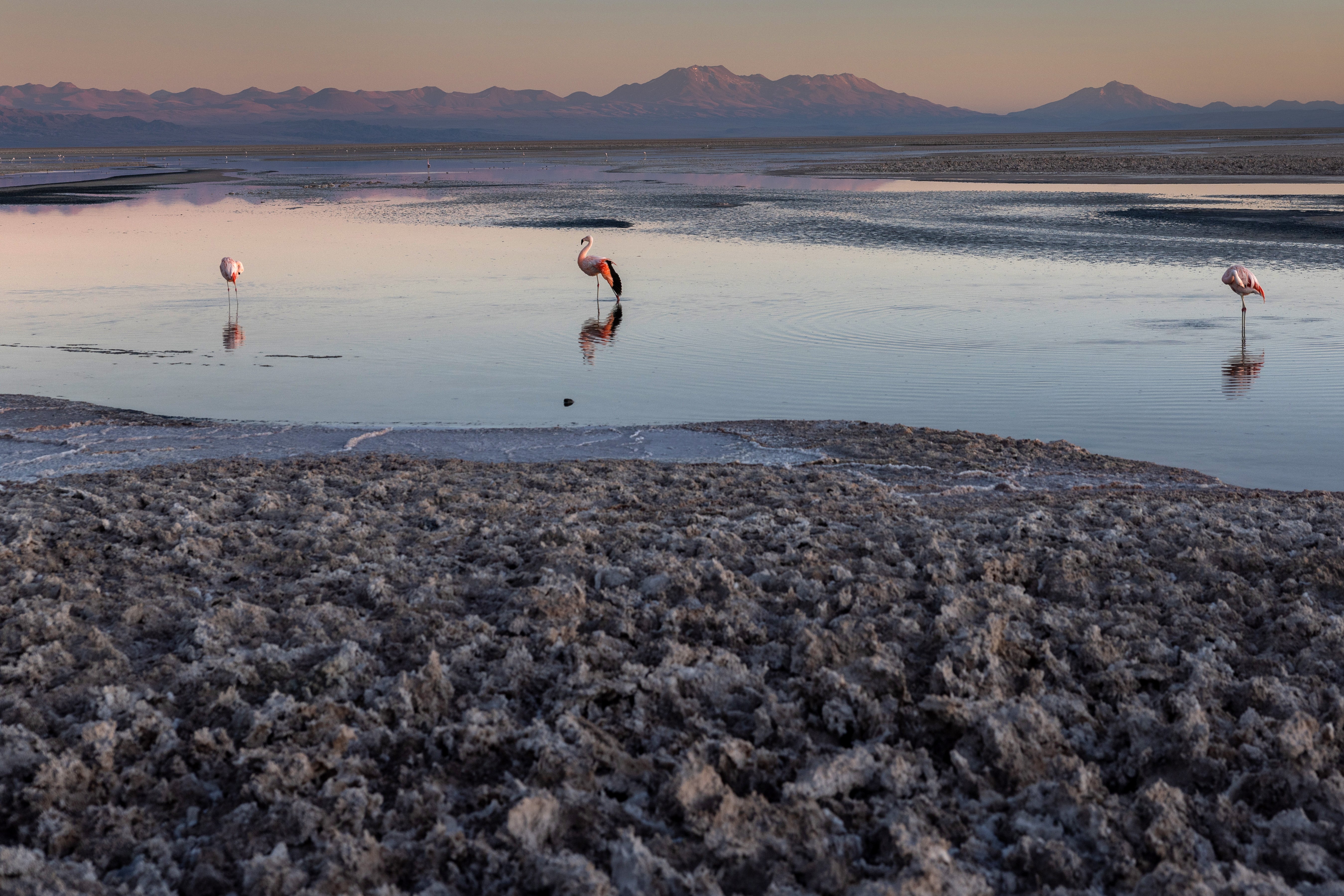 Flamingos on the salt flats. (Photo: John Moore, Getty Images)
