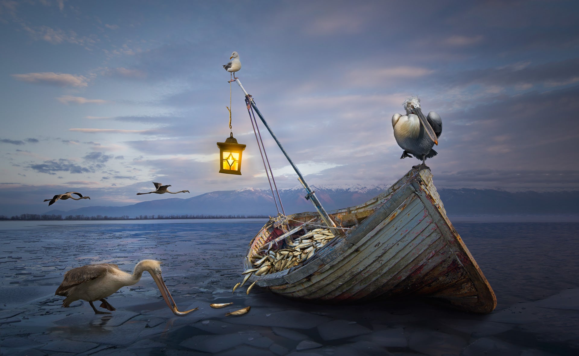 An image of pelicans, flamingos, an old boat and fish stitched together by the photographer. (Photo: Janine Lee)