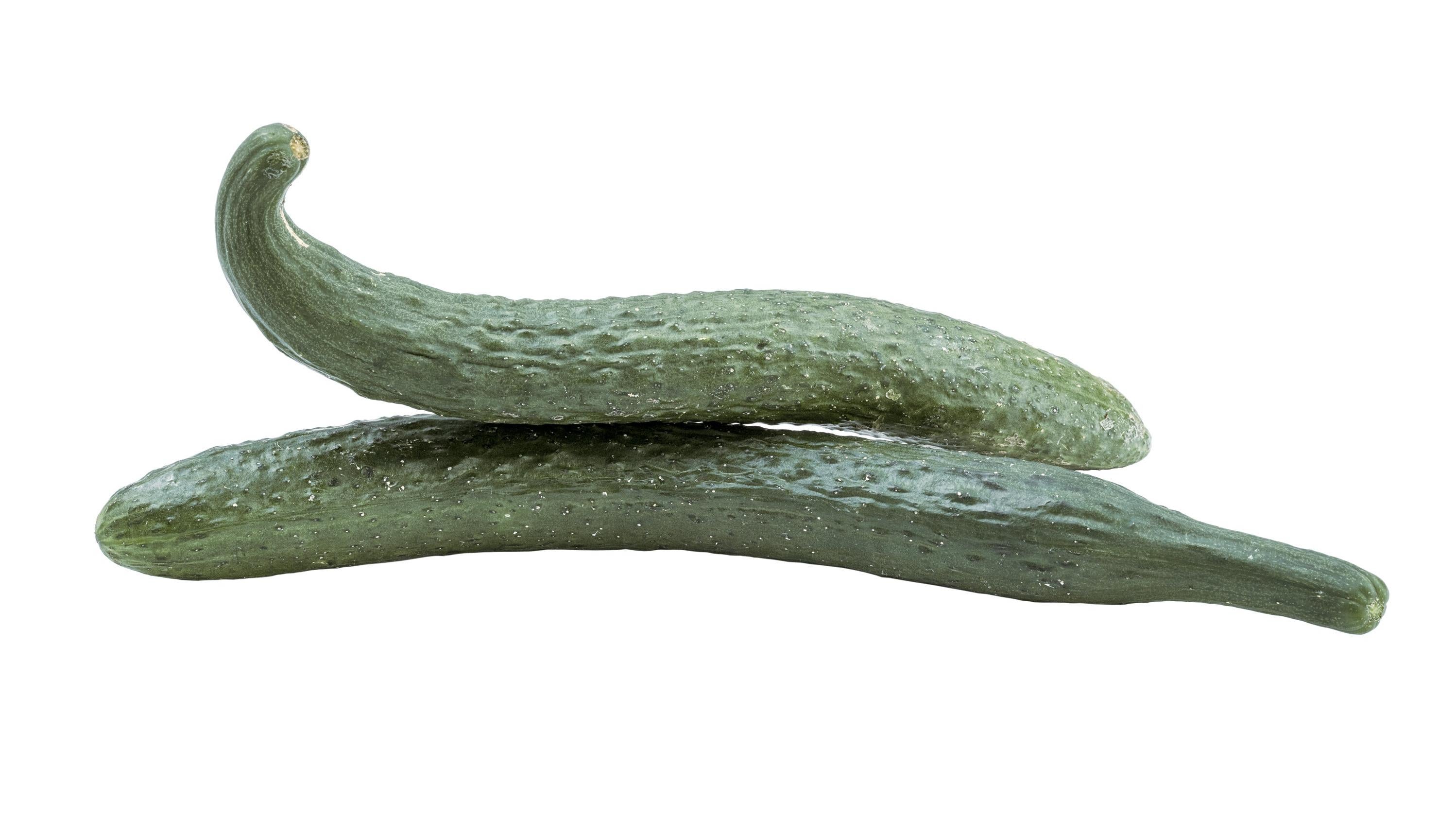 The Aonaga Jibai cucumber. (Image: Courtesy of Hendrick’s Gin)