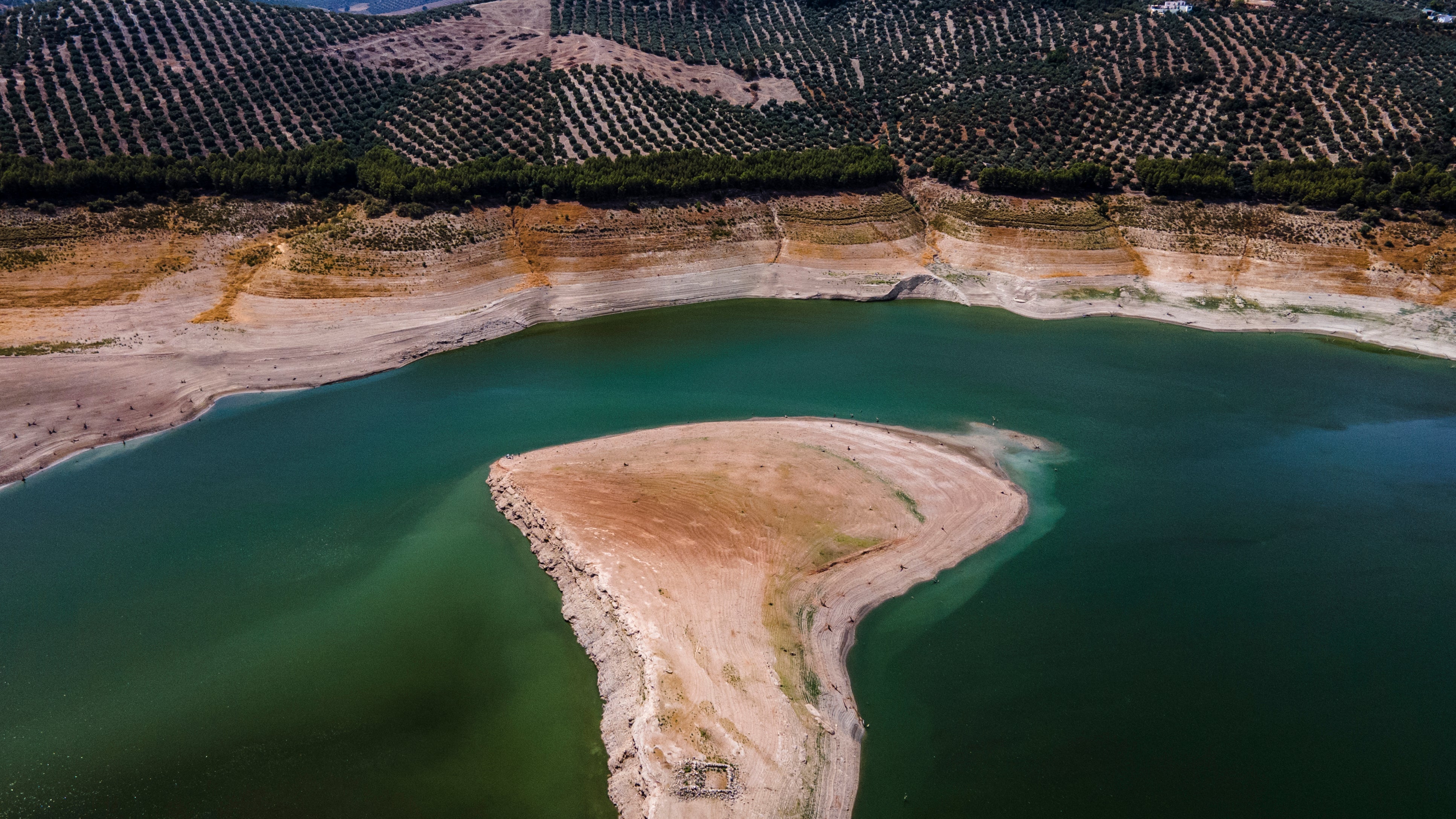 Low water in the Iznájar reservoir bordered by olive trees. (Photo: Carlos Gil, Getty Images)