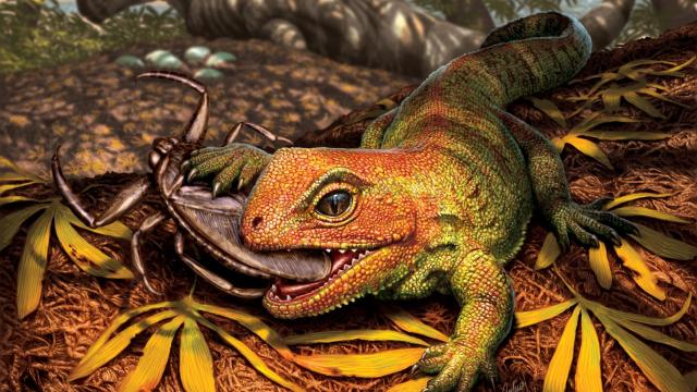 This Ancient Reptile Is Not a Lizard, Don’t Call It a Lizard
