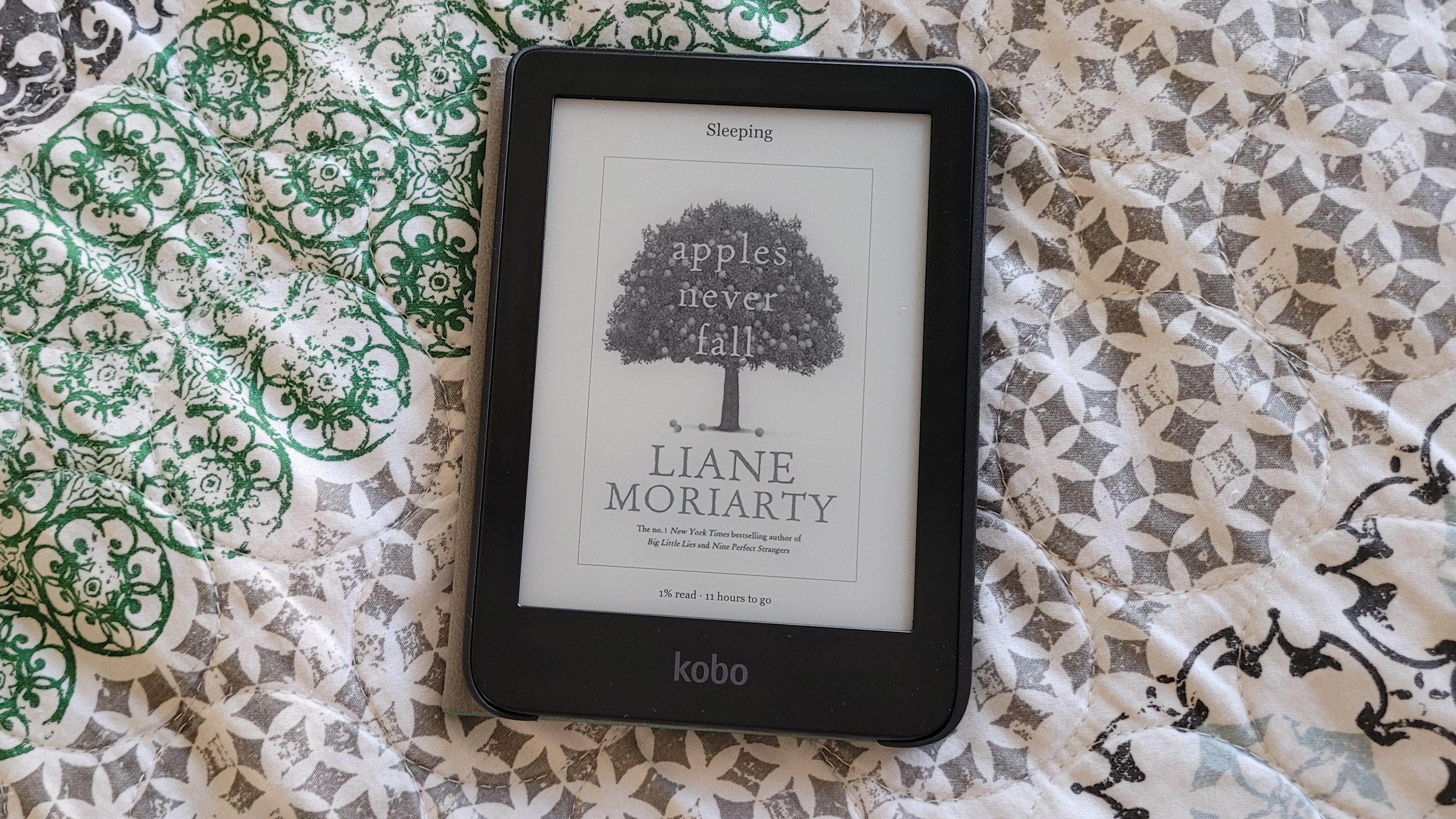 Discovering new worlds with the Clara 2E : r/kobo