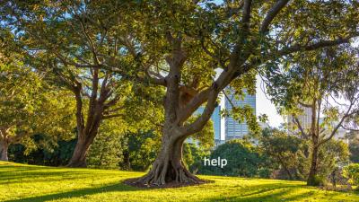 100% of Tress in Aussie Cities Are Now Threatened by Climate Change