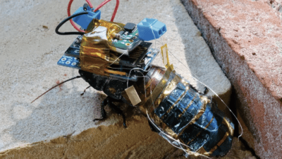 Researchers Created a ‘Cyborg Cockroach’ With a Backpack Camera to Inspect Disaster Zones