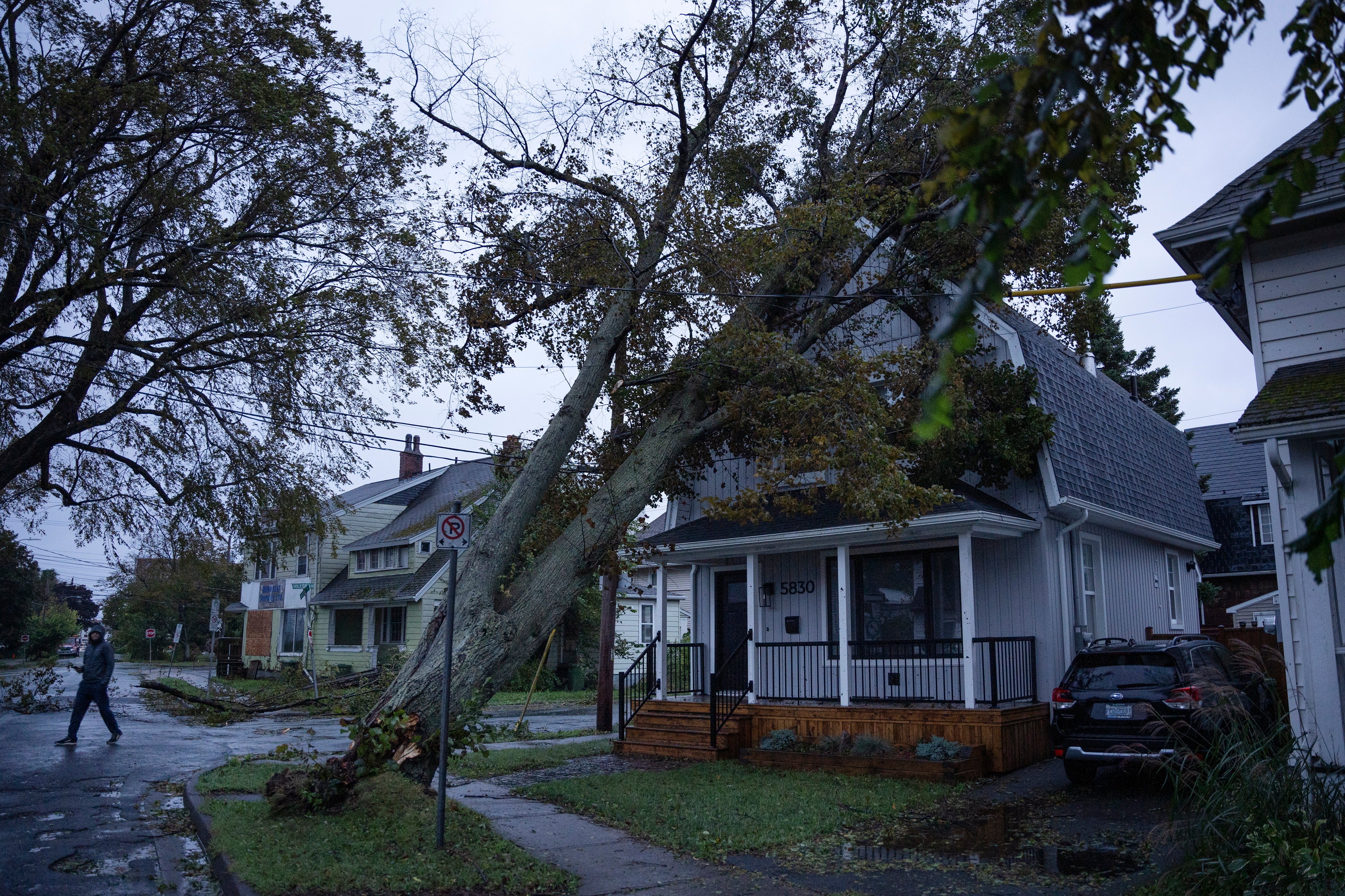 A tree collapsed onto a home in Halifax, Nova Scotia on Saturday, September 24. (Photo: Darren Calabrese /The Canadian Press, AP)