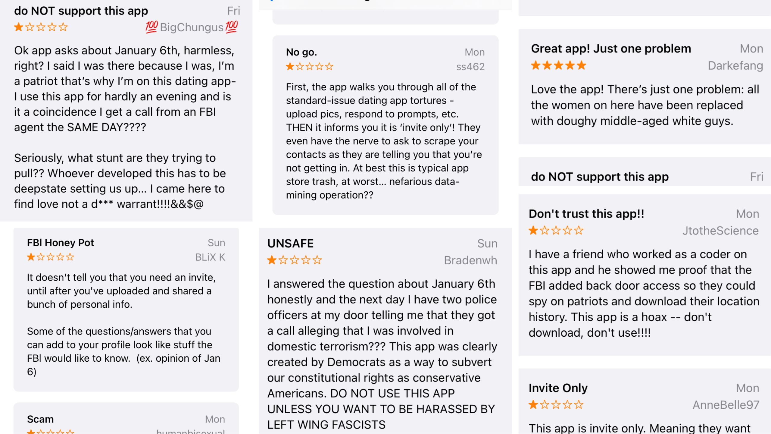 Just a sampling of the reviews of The Right Stuff in the iOS app store.  (Screenshot: Gizmodo)