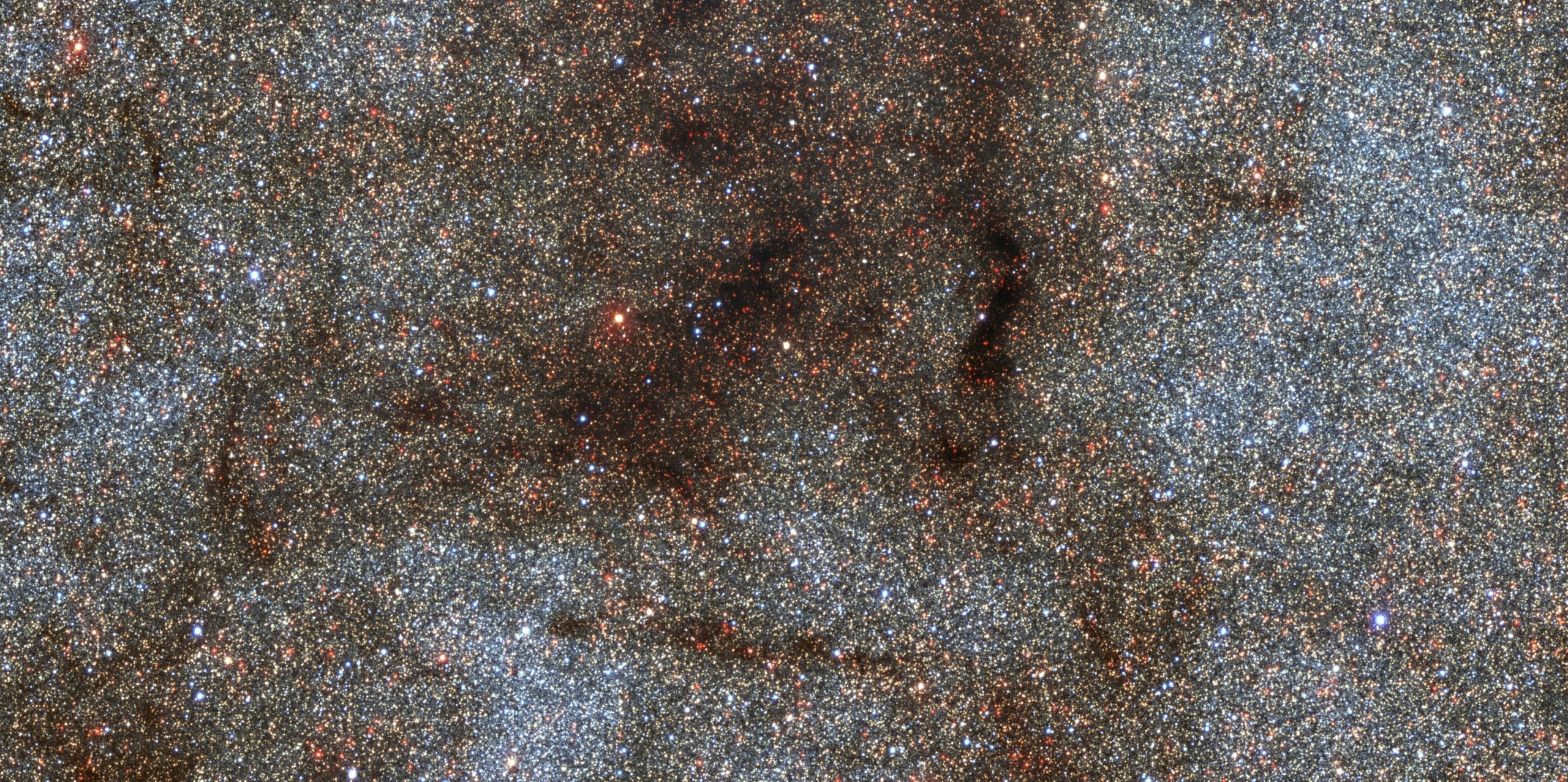 Thousands of stars in a Dark Energy Camera deep field. (Image: CTIO/NOIRLab/DOE/NSF/AURA/STScI, W. Clarkson (UM-Dearborn), C. Johnson (STScI), and M. Rich (UCLA))
