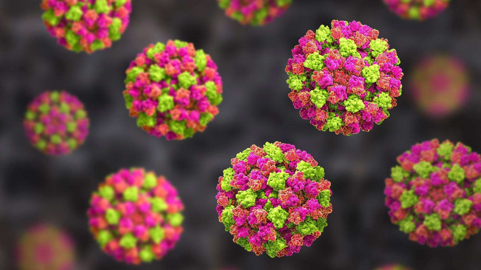 An illustration of norovirus particles.  (Illustration: Shutterstock, Shutterstock)