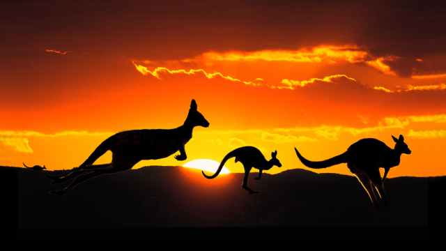 The CSIRO Is Building Out a DNA Library of Every Australian Animal and Plant