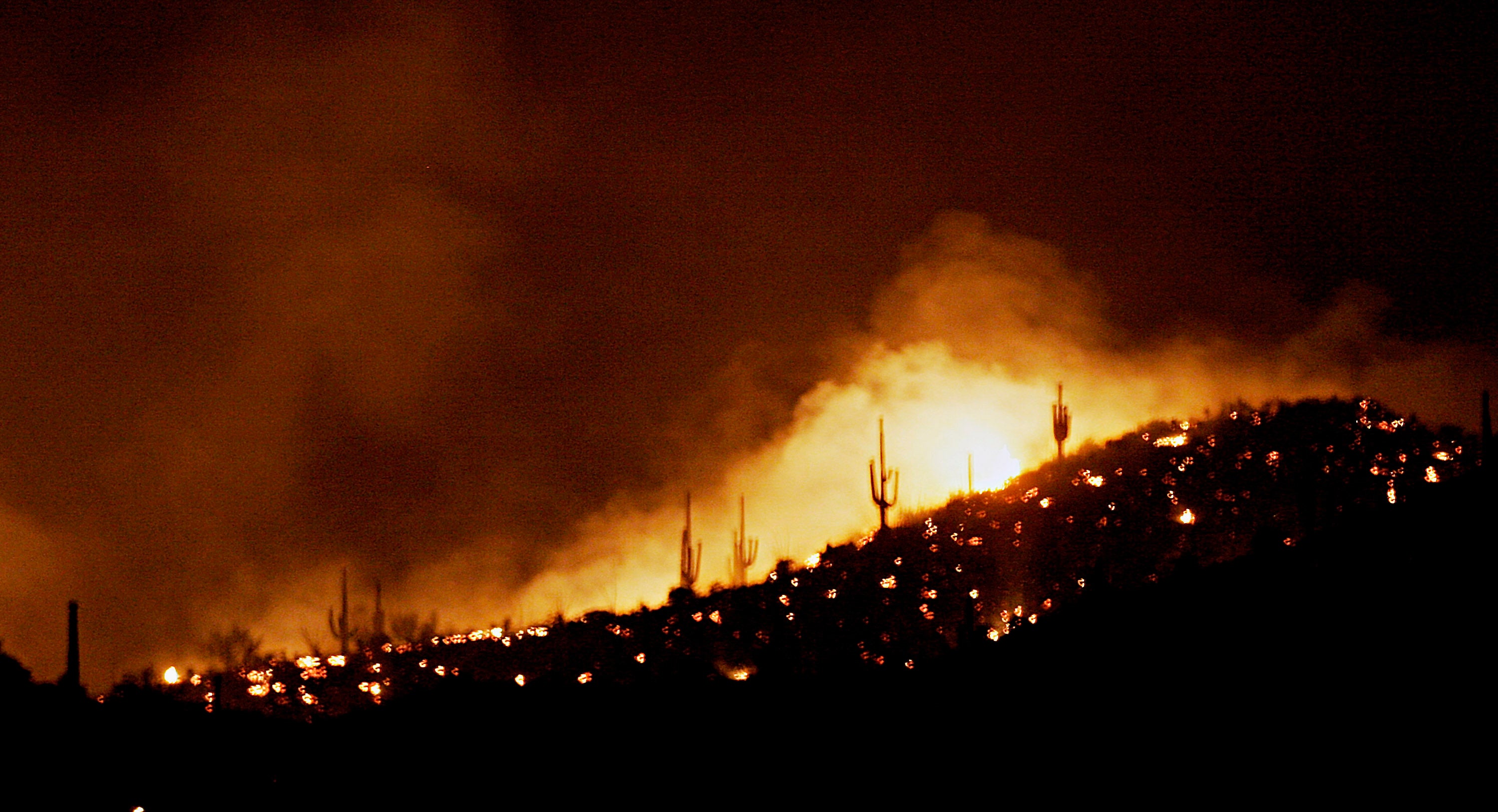 The Carefree Complex Fire, which burned through the Sonoran in 2005, rolls toward a stand of saguaro cacti. (Photo: Jeff Topping, Getty Images)