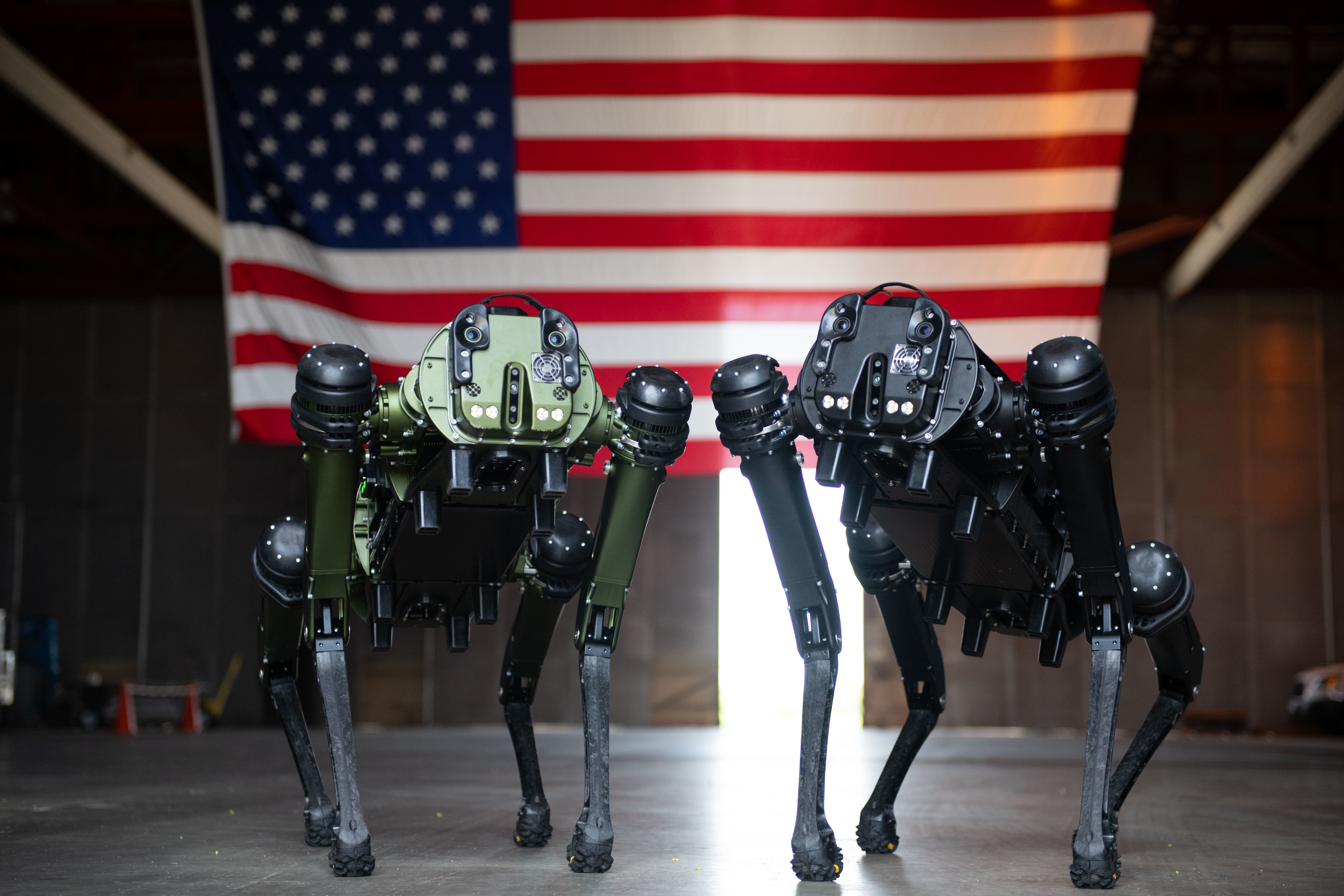 Ghost Robotics Quadruped Unmanned Ground Vehicles (Q-UGV) pose for a  photo at Cape Canaveral Space Force Station, Fla., July 27, 2022. (Photo: DVIDS)