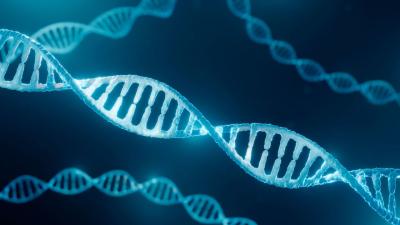 DNA Is Often Used in Solving Crimes but How Does Profiling Actually Work?