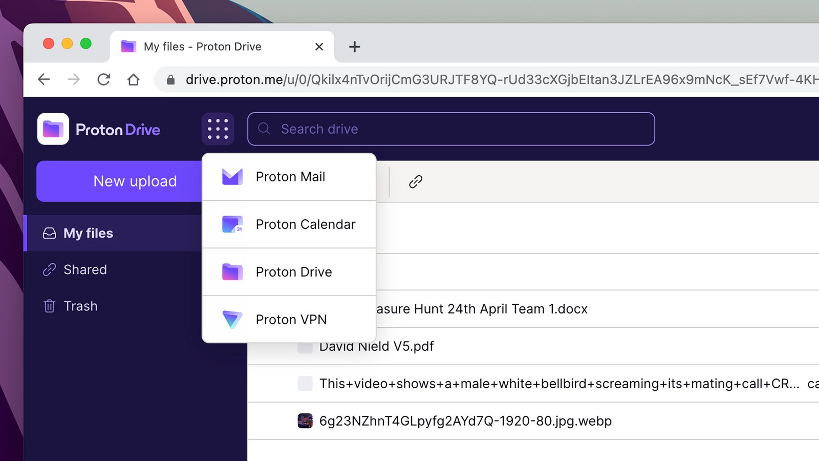 There are now four Proton products to make use of. (Screenshot: Proton Drive)