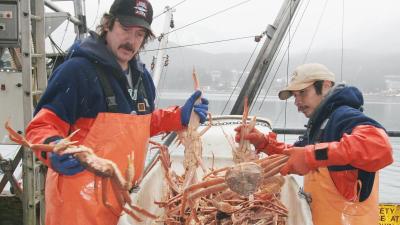 The ‘Deadliest Catch’ Disappears: Alaska’s Snow Crabs Have Vanished