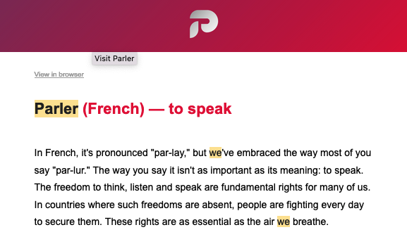 Parler CEO George Farmer getting salty about how is website is supposed to be pronounced.  (Screenshot: Thomas Germain)