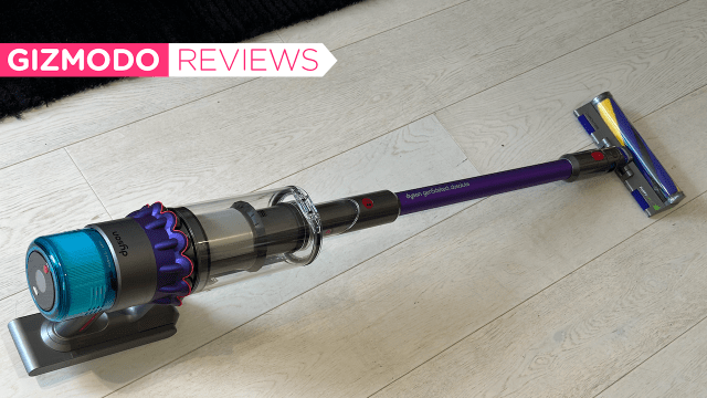 The Dyson Gen5 Detect Cordless Vac is a Godsend For Pet Owners