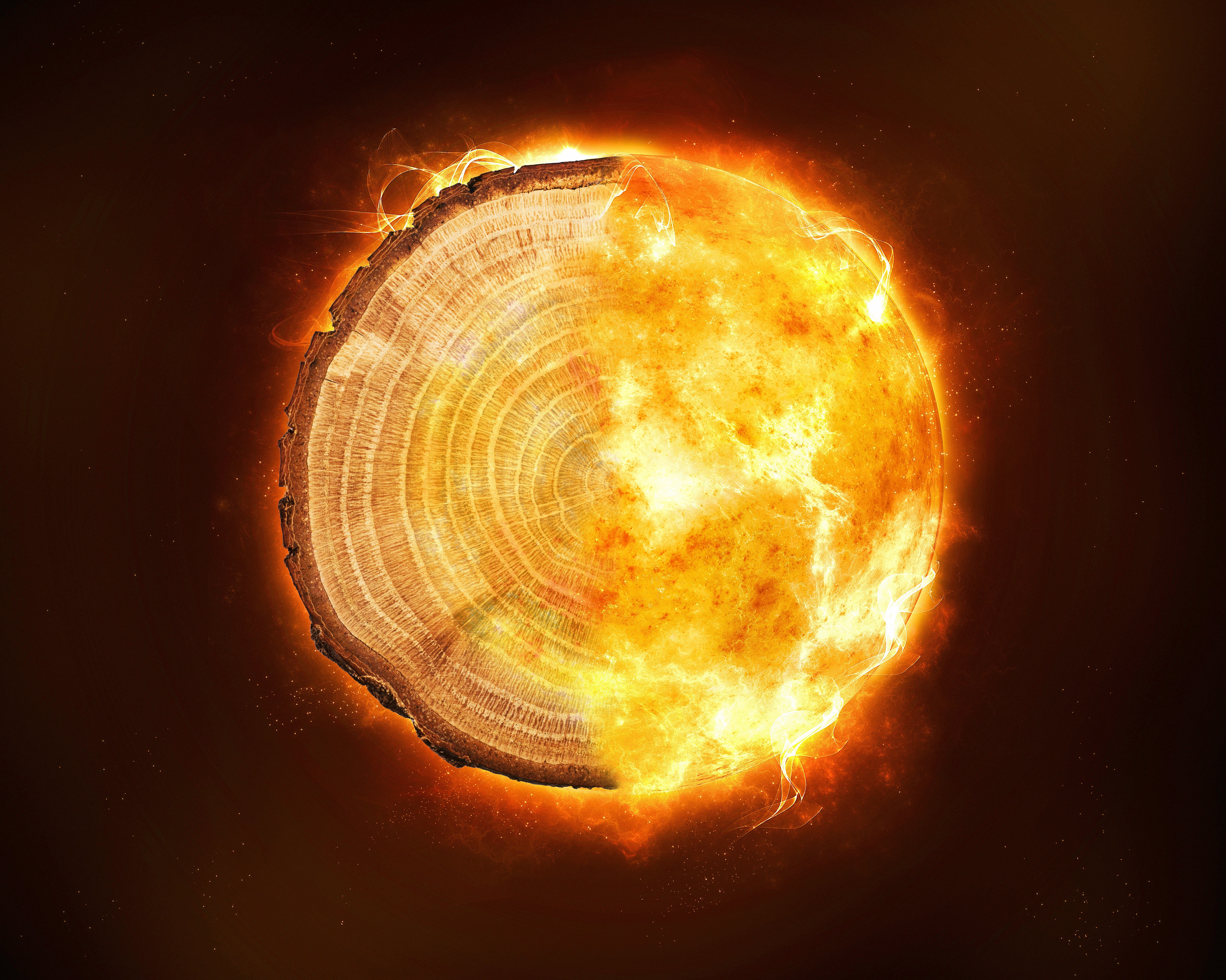 Radiation Spikes in Tree Rings Came From Mystery Cosmic Storms, Aussie Scientists Say