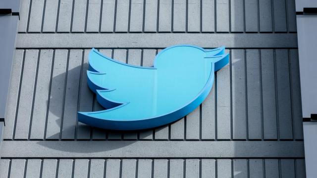 Twitter Exploring ‘Paywalled Video’ Which Would Obviously Be Flooded With Porn