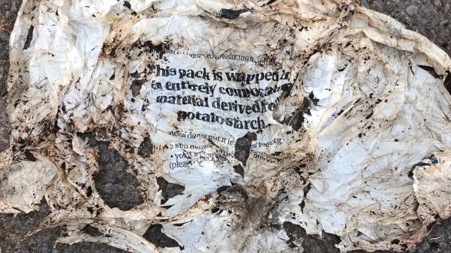 Most Home ‘Compostable’ Plastic Doesn’t Actually Break Down, Study Finds