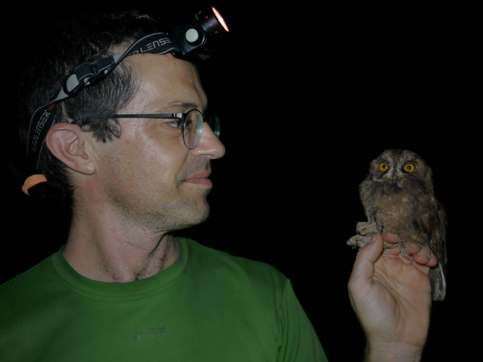 Researcher Martim Melo holding one of the newly described owls. (Photo: c/o Bárbara Freitas)
