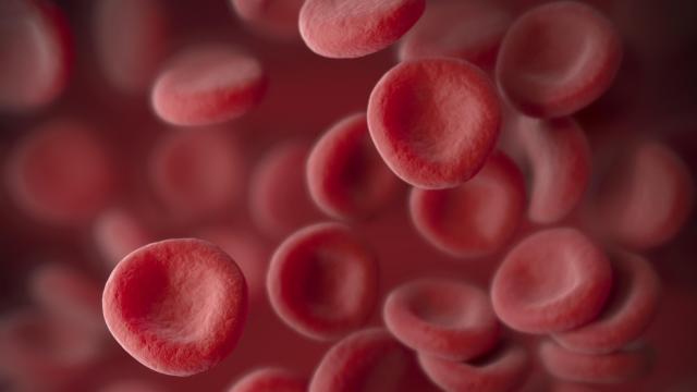 For the First Time Ever, People Are Getting Transfusions of Lab-Grown Blood Cells