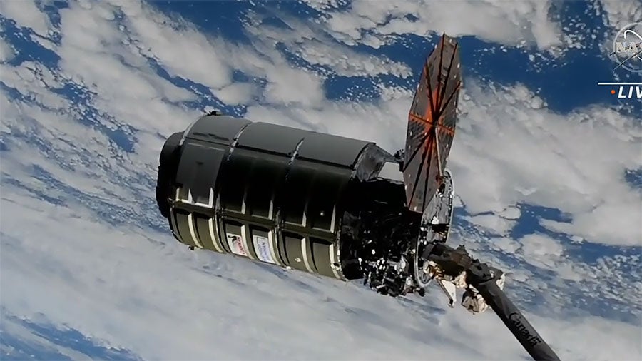 The Cygnus spacecraft moments after being captured by Canadarm2. (Image: NASA TV)