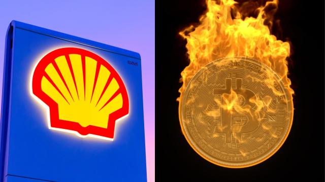 Dream Team Alert: Bitcoin Magazine (Maybe) Teams Up With Fossil Fuel Giant, Shell