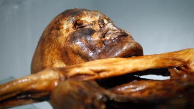 A Stone Age Cold Case: Ötzi the ‘Iceman’ Thawed and Refroze Many Times, Researchers Say