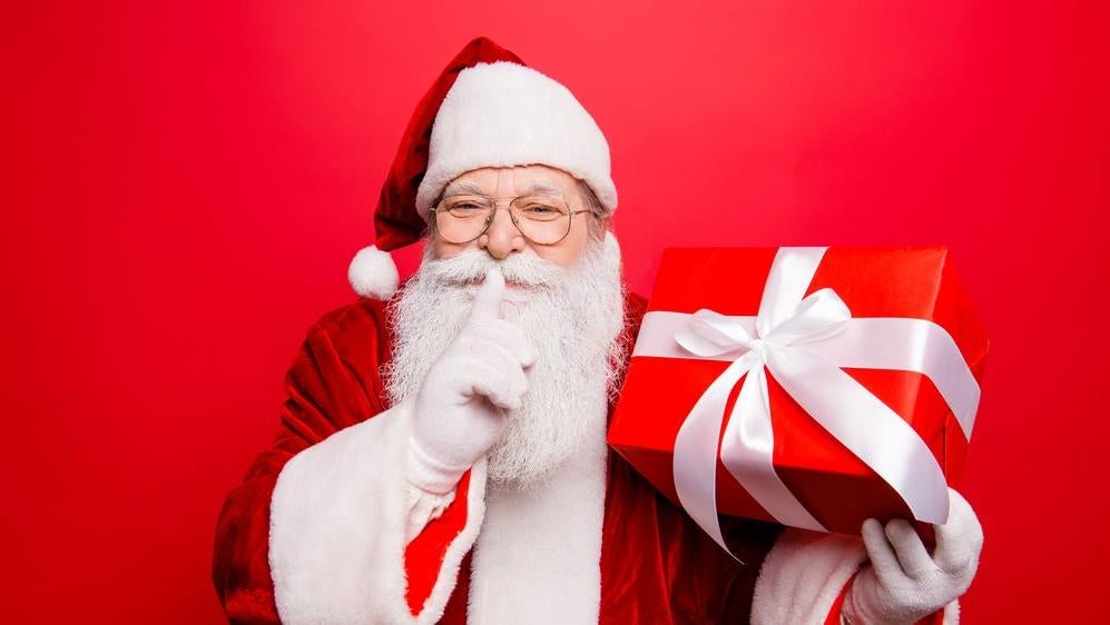 It's very naughty to ask about Santa's privacy policy. (Photo: Roman Samborskyi, Shutterstock)