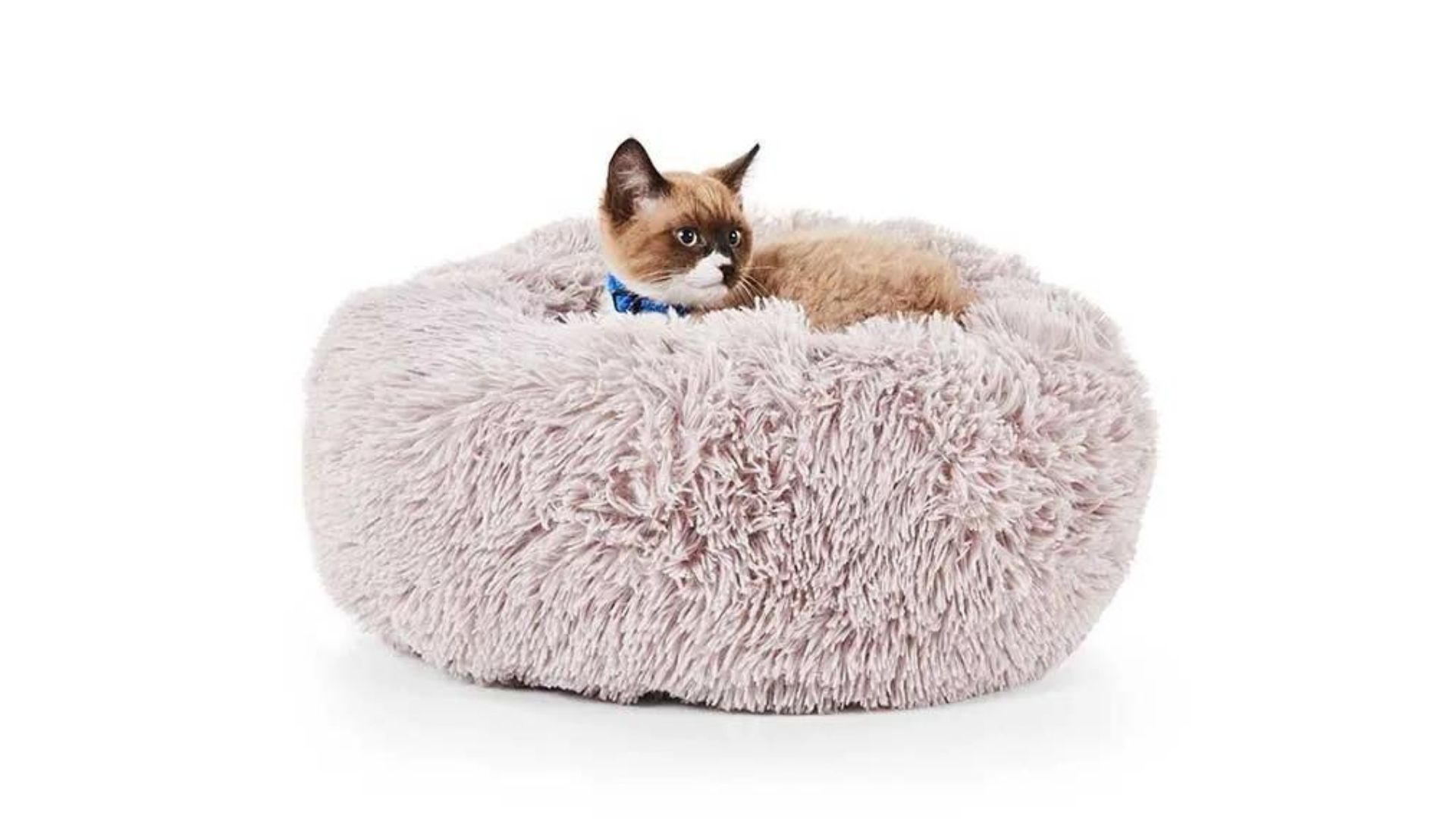 Pet gifts: Calming Bed