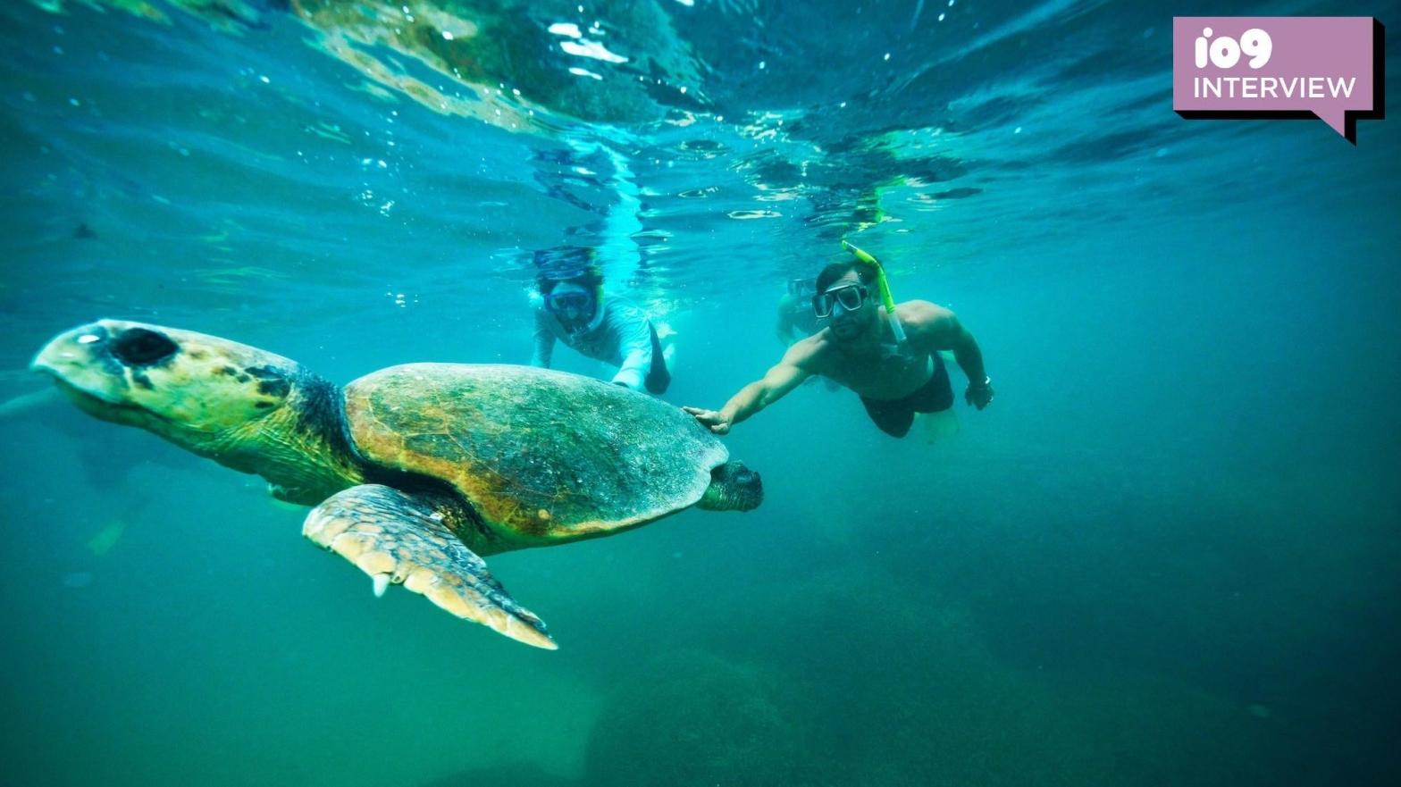 Professional freediver Tanya Streeter and Marvel star Chris Hemsworth swim with a turtle. (Image: National Geographic for Disney+/Craig Perry)